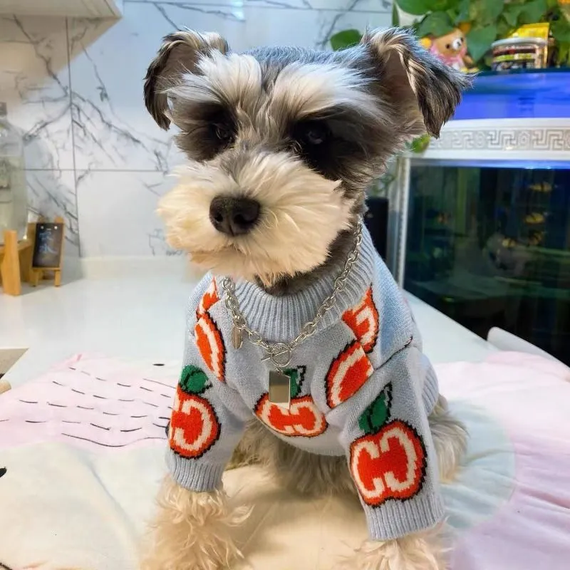 Letter Sweater Pet Dog Clothes - Winter Clothing For Boys recension och pris