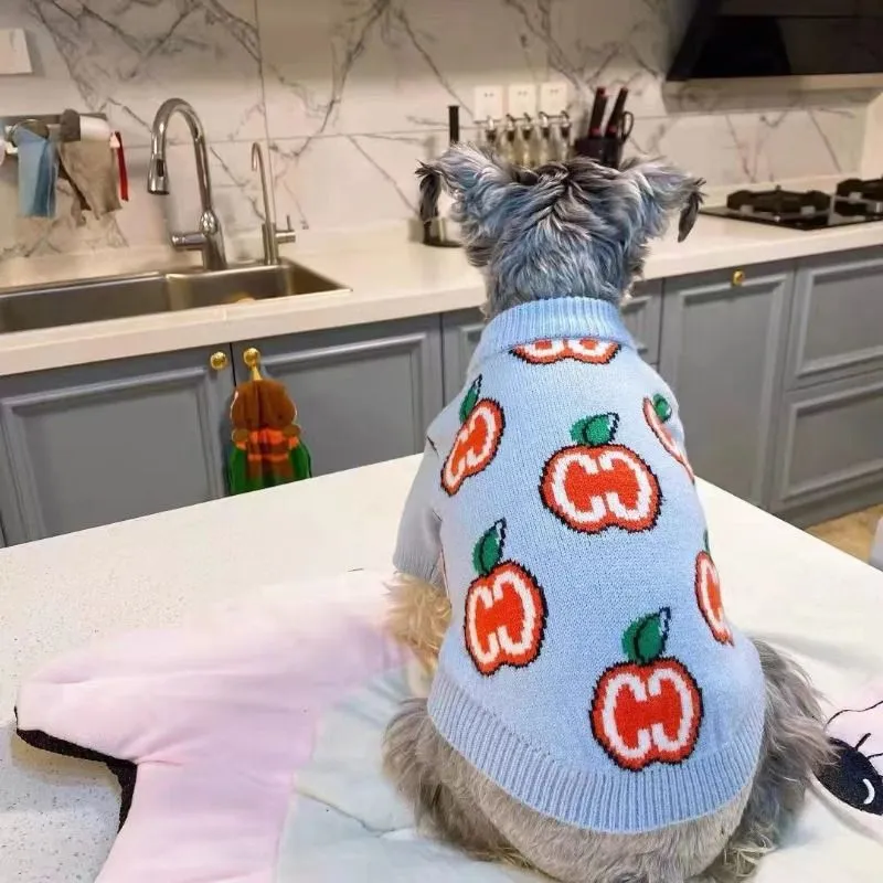 Letter Sweater Pet Dog Clothes - Winter Clothing For Boys recension och pris