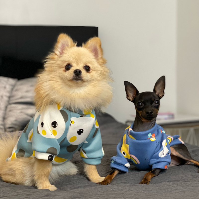 Xs Dog Clothes for Small Dogs  - Winter Clothing For Boys recension och pris