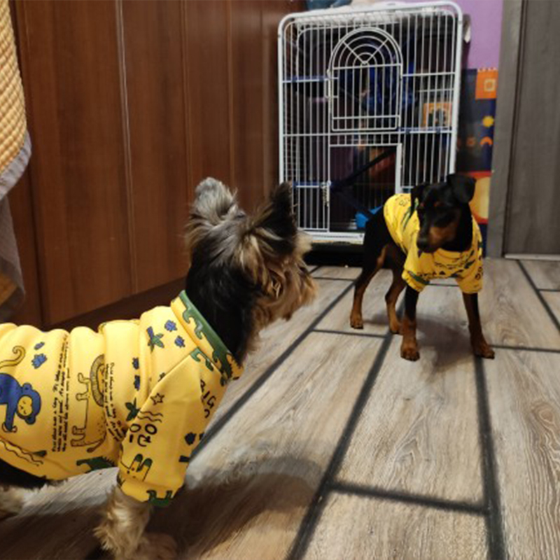 Xs Dog Clothes for Small Dogs  - Winter Clothing For Boys recension och pris