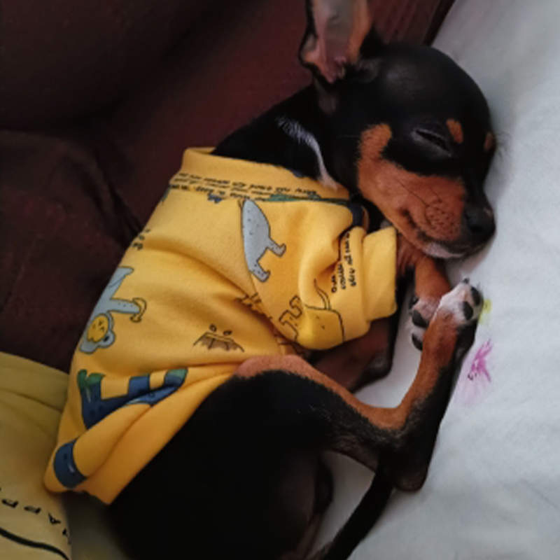 Xs Dog Clothes for Small Dogs  - Winter Clothing For Boys recension och pris
