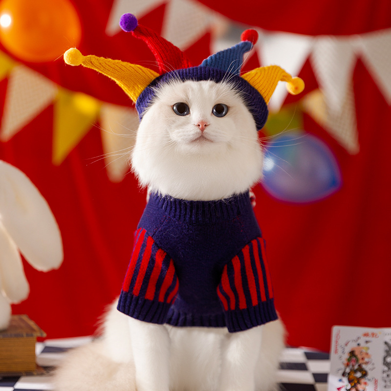 Cute Pet Dog Sweater Winter Do - Winter Clothing Kit recension och pris